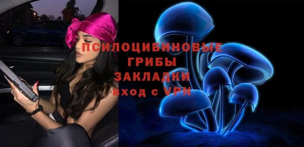 трава Карпинск