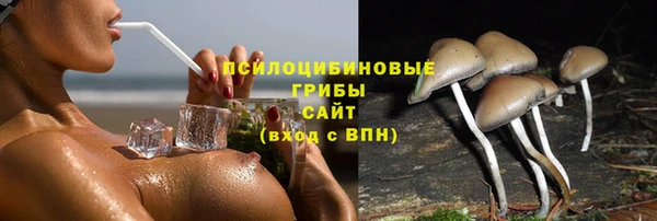 индика Карталы