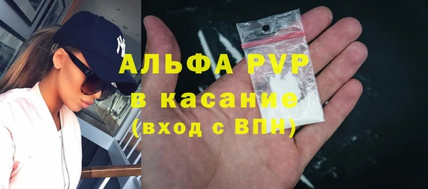 трава Карпинск