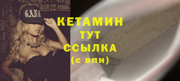 трава Карпинск