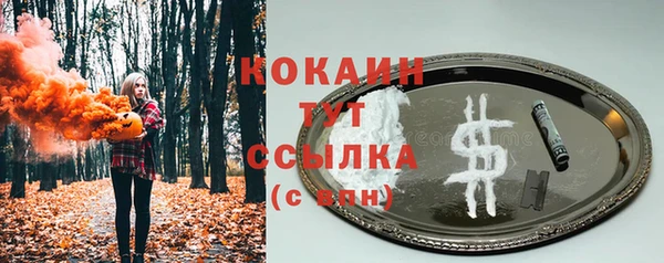 индика Карталы