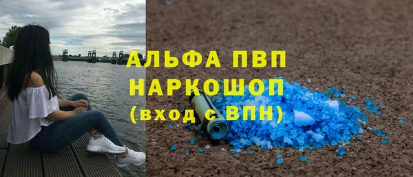 трава Карпинск