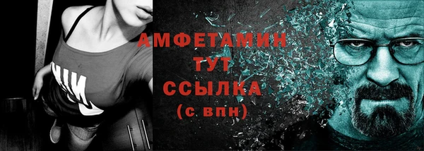 трава Карпинск