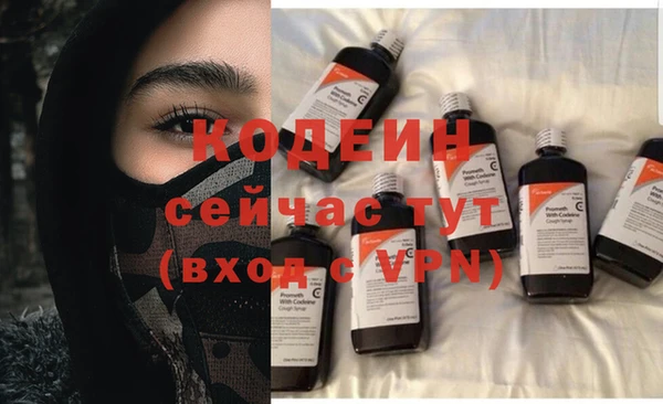 индика Карталы