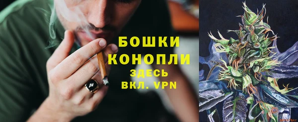 индика Карталы