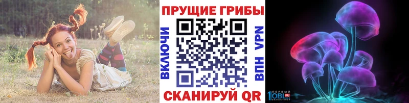 Купить закладки  Валдай  Псилоцибиновые грибы GOLDEN TEACHER 